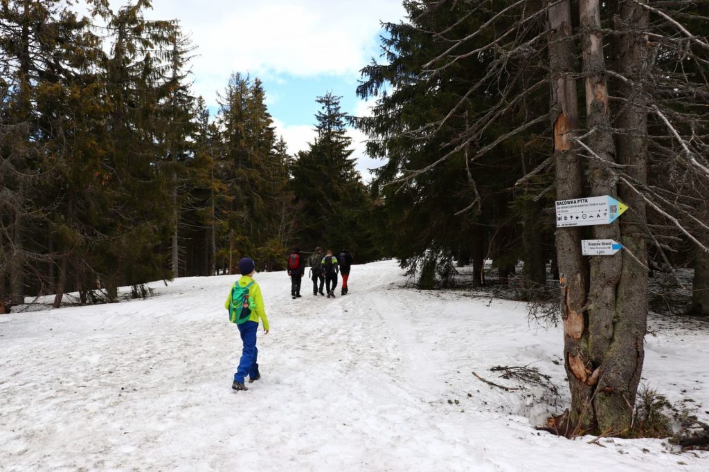 Turyści, szeroka droga idąca od Trzech Kopców w stronę szczytu Palenica