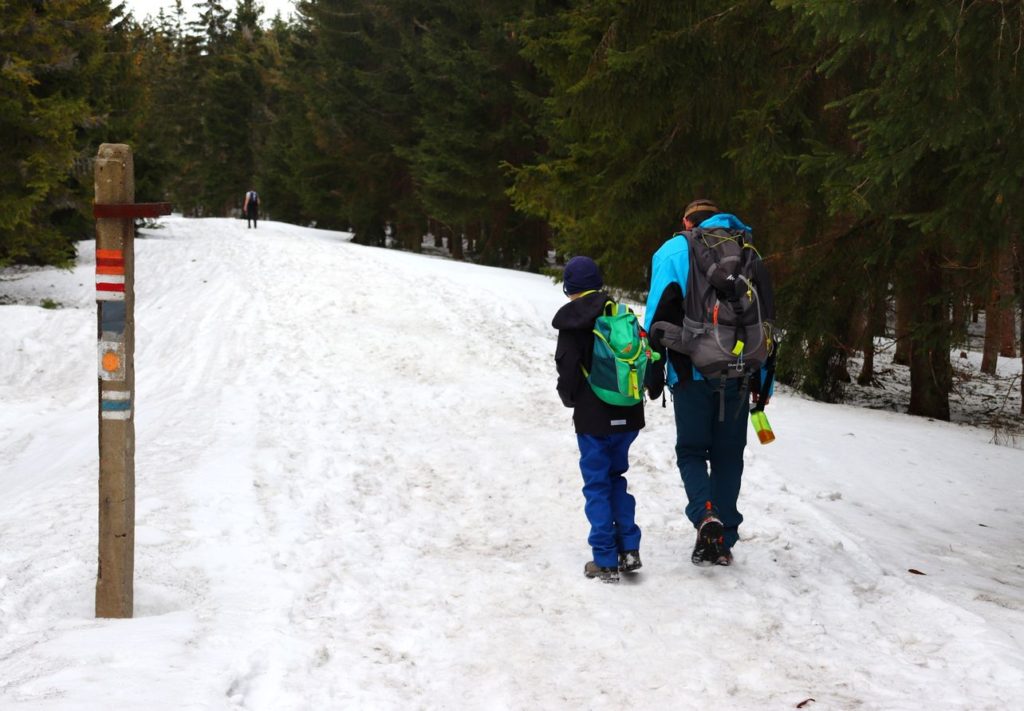Turysta, dziecko, szeroka droga na szlaku czerwonym oraz szlaku niebieskim - kierunek szczyt Palenica