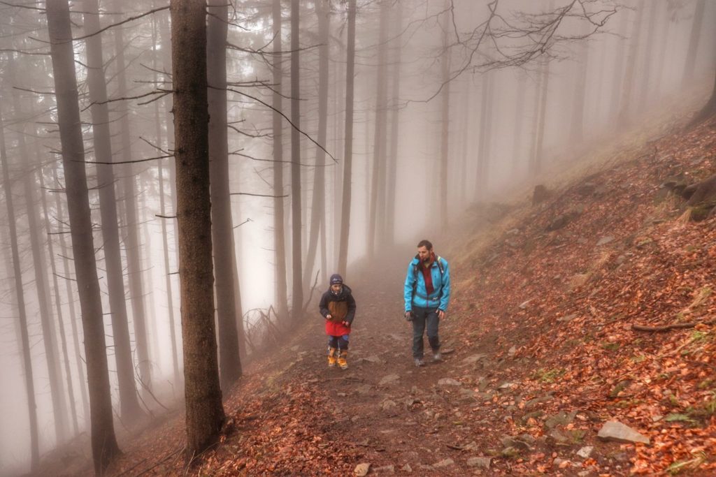 Turysta z dzieckiem na żółtym szlaku idącym na Małą Czantorię, las, mgła