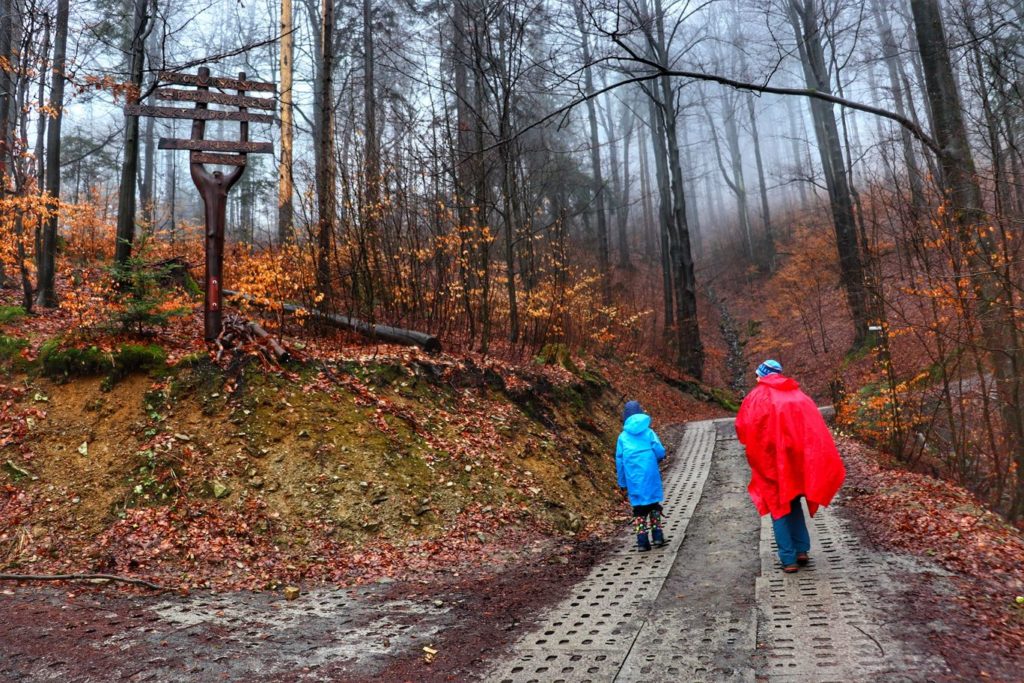 Turysta z dzieckiem na niebieskim szlaku na Soszów Wiellki, szeroka droga leśna wyłożona betonowymi płytami