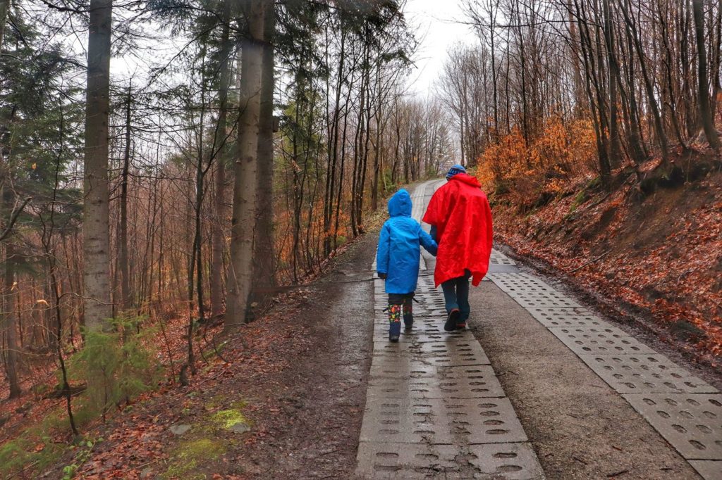 Turysta z dzieckiem na szerokiej drodze leśnej - betonowe płyty - prowadzącej do schroniska Soszów