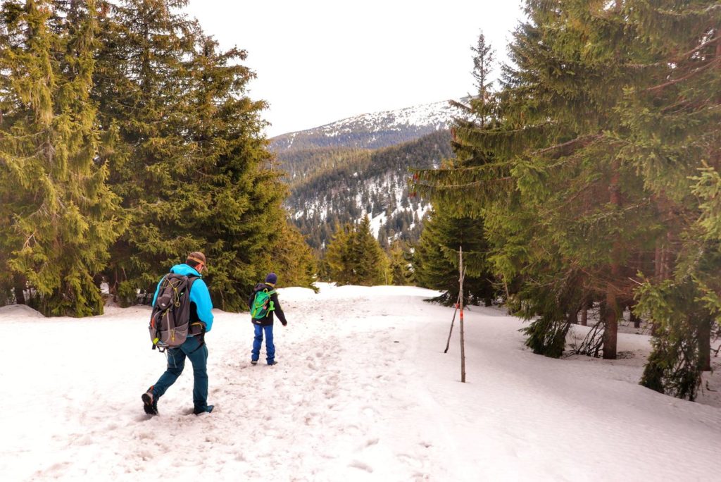 Turyści - mężczyzna i dziecko, zaśnieżona droga leśna, okolice Hali Cudzichowej