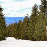 Widok na beskidzkie szczyty ze szlaku czerwonego oraz szlaku niebieskiego na szczyt Palenica