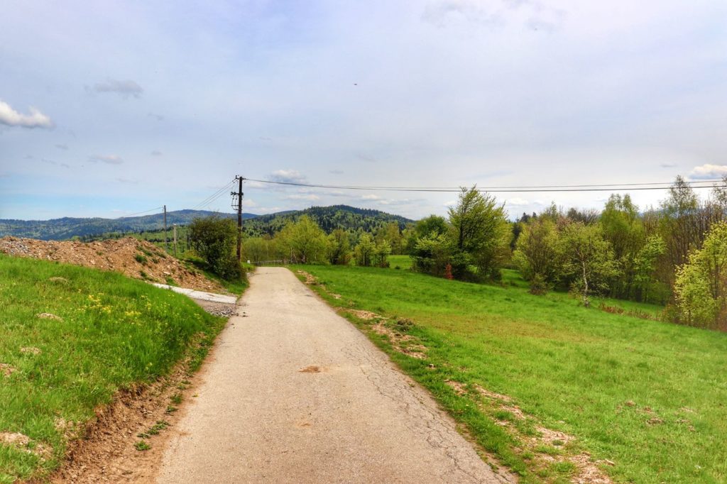 Asfaltowa droga na zielonym szlaku w Łysinie