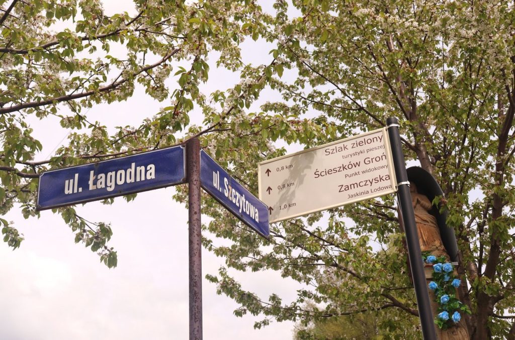 Biała tabliczka, oznaczenie szlaku zielonego - Łysina - Punkt widokowy Ścieszków Groń, Zamczysko