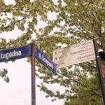 Biała tabliczka, oznaczenie szlaku zielonego - Łysina - Punkt widokowy Ścieszków Groń, Zamczysko