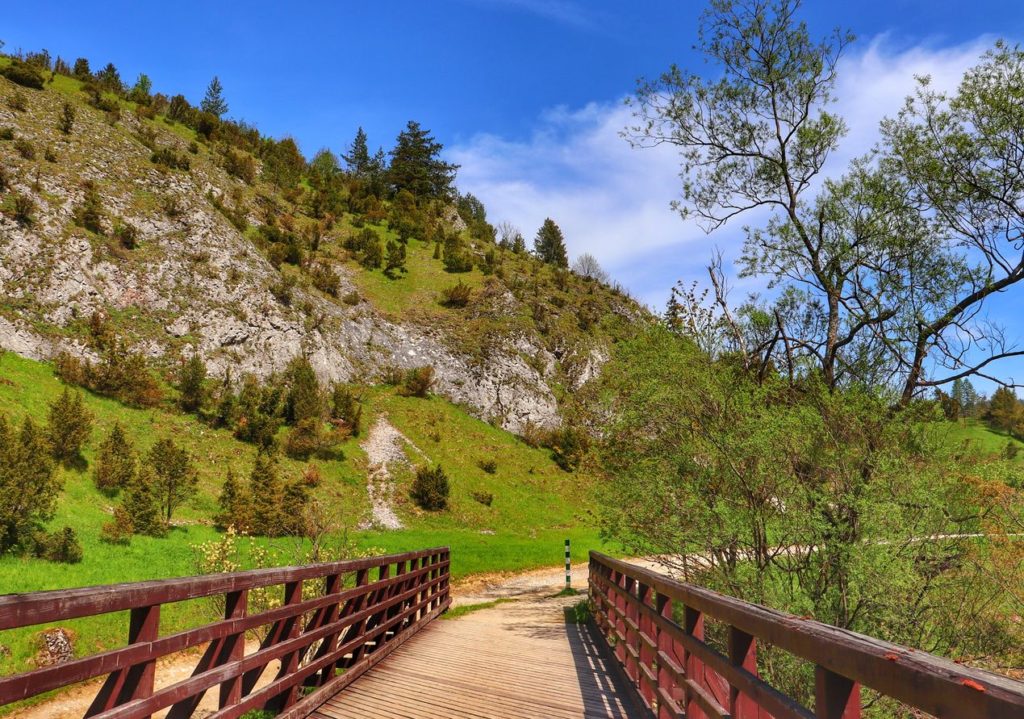 Drewniany most, skalny wąwóz w Rezerwacie Przyrody Biała Woda w Pieninach, niebieskie niebo