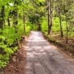 Droga asfaltowa, drzewa, Wieś Łysina - ulica Szczytowa