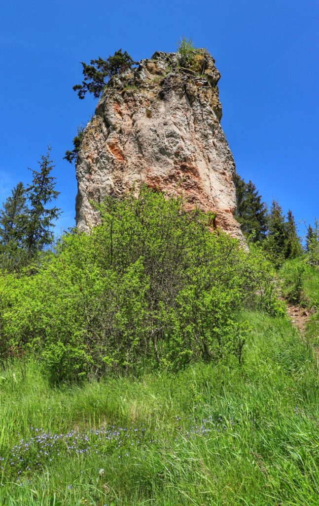 Pieniny Spiskie, Lorencowe Skałki - skała w kształcie maczugi o nazwie Gęśle