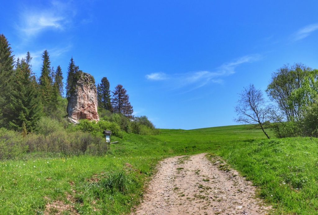 Lorencowe Skałki - Gęśle w Pieninach Spiskich, niebieskie niebo, wiosenna trawa