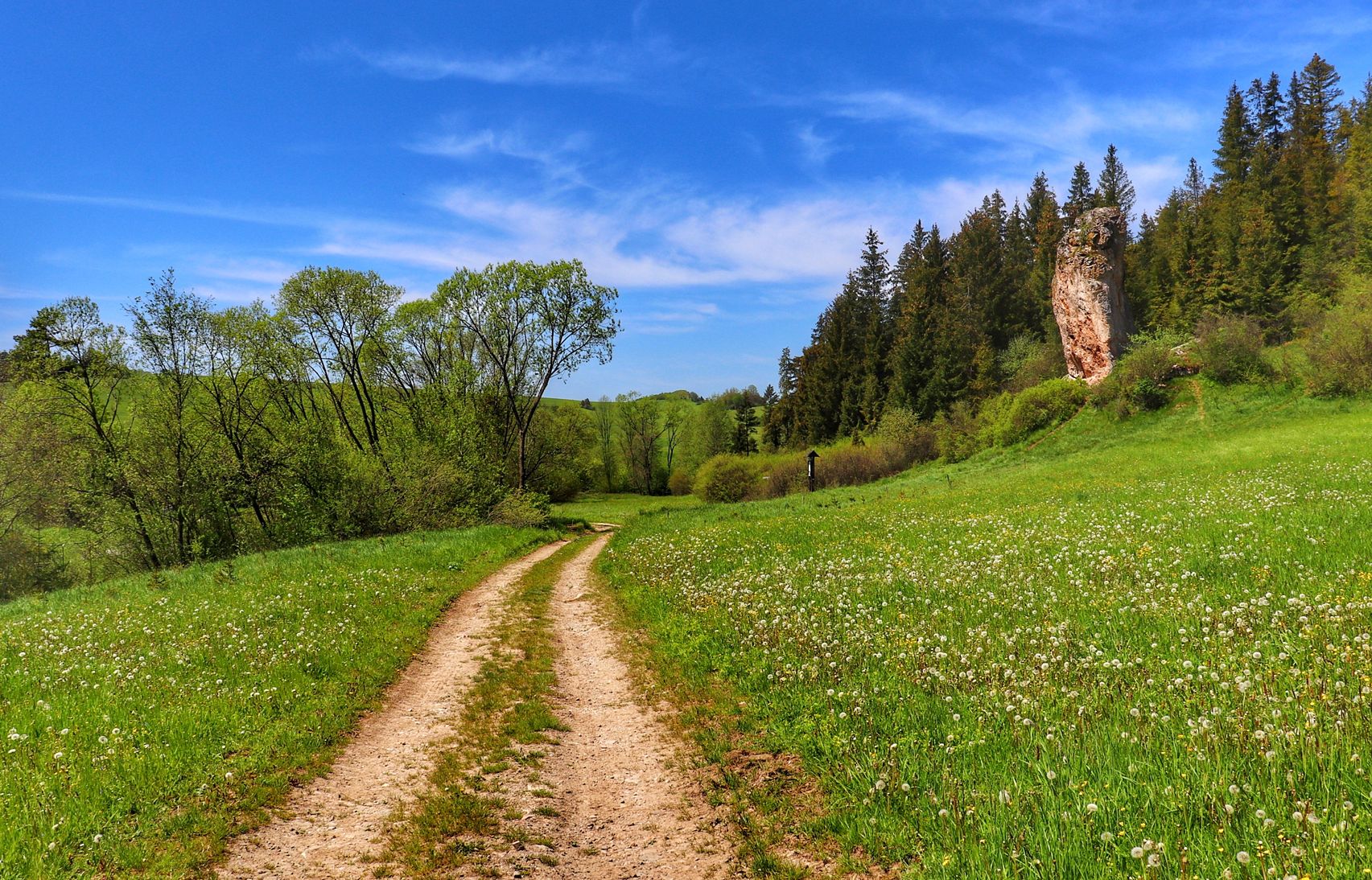 Lorencowe Skałki w Pieninach Spiskich