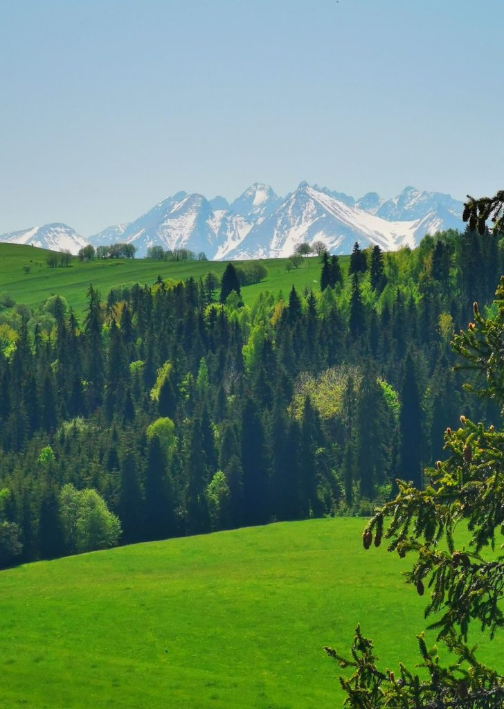 Majowy widok na Tatry, punkt widokowy Lorencowe Skałki