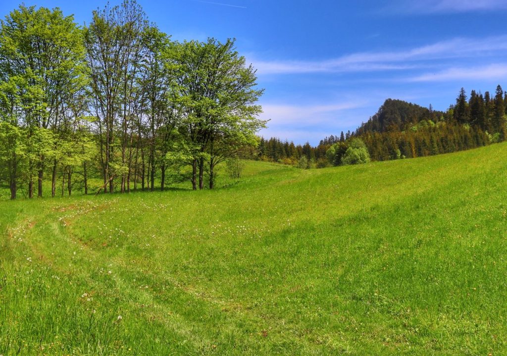 Polana na szlaku zielonym w Pieninach Spiskich, maj, niebieskie niebo