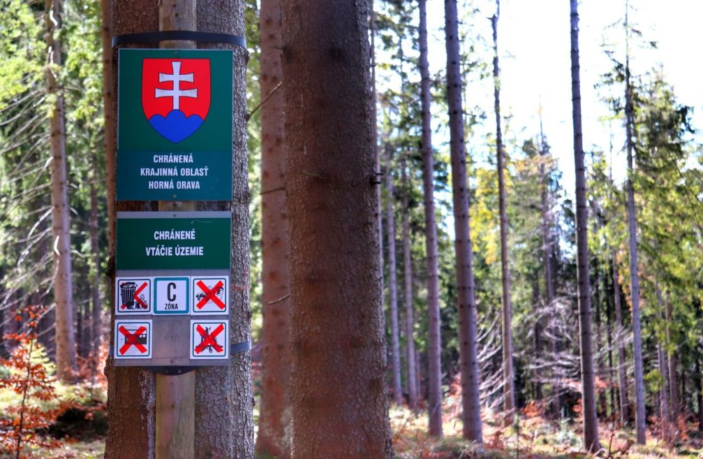 Przełęcz Bory Orawskie w Beskidzie Żywieckim, las, szlak graniczny, słowackie tabliczki