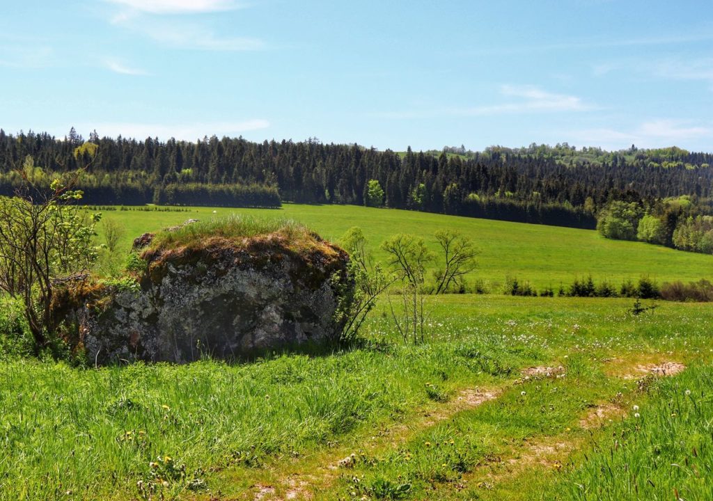Skałka należąca do Lorencowych Skałek na zielonym szlaku, Dursztyn