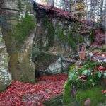 Skały, las, Zamczysko na Łysinie w Beskidzie Małym