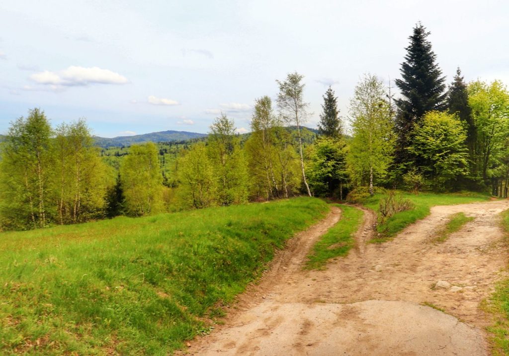 Szeroka i utwardzona droga, polana w Beskidzie Małym, Zamczysko - Łysina okolice