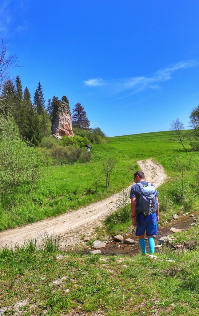 Turysta idący do skały o nazwie Gęśle - Lorencowe Skałki, potok