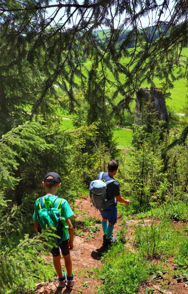 Turysta z dzieckiem, strome zejście ścieżką leśną prowadzące do skały Gęśle - Lorencowe Skałki