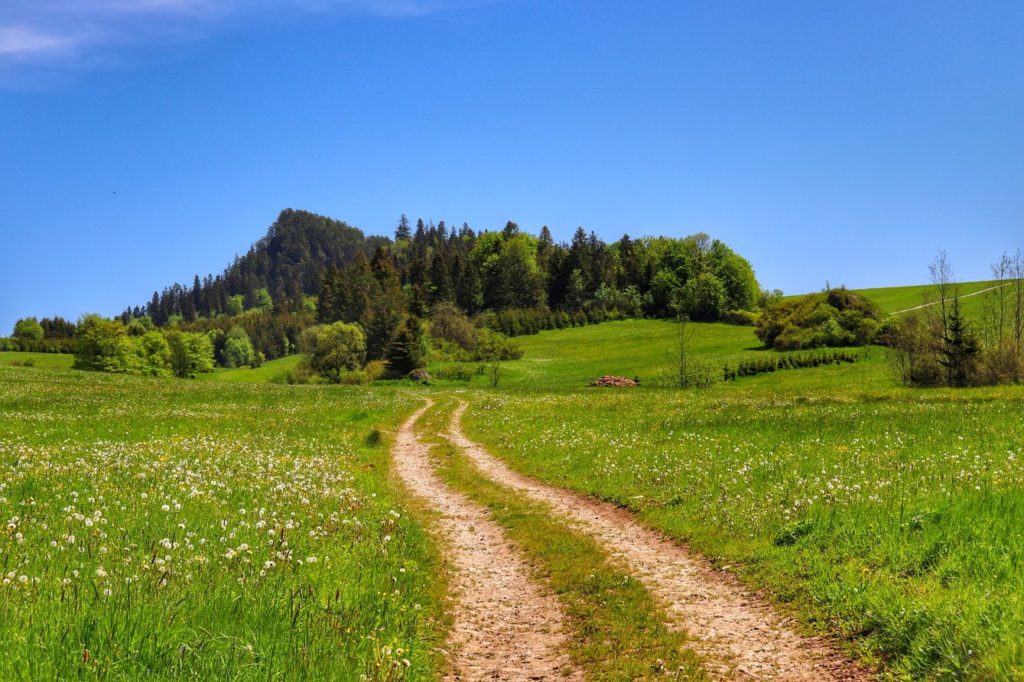 Utwardzona droga prowadząca pomiędzy polami - Pieniny Spiskie - Lorencowe Skałki szlak zielony