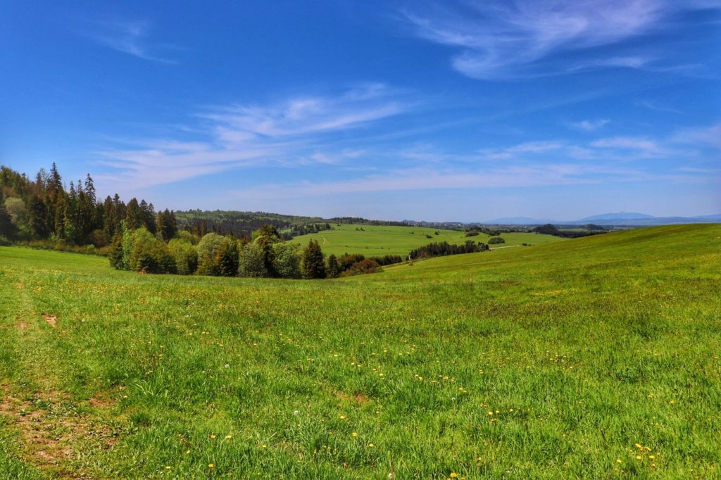 Widok rozciągający się ze szlaku zielonego w Dursztynie, w oddali Babia Góra, obszerna pienińska polana
