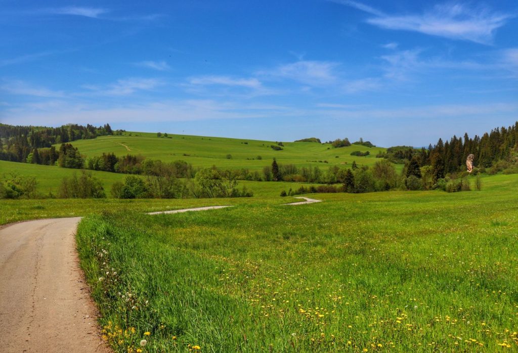 Wieś Dursztyn, kręta droga między polami, po prawej stronie drogi w oddali widać Lorencowe Skałki