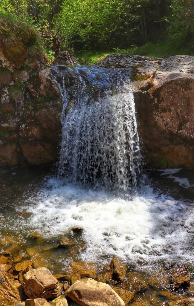 Wodospad - Rezerwat Biała Woda Pieniny