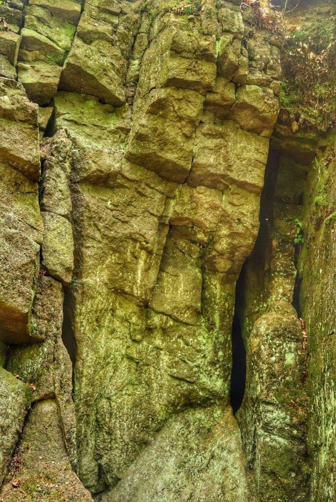 Zamczysko na Ściszków Groniu w Beskidzie Małym, skalna ściana