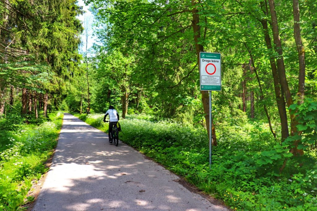 Szeroka droga asfaltowa, zakaz wjazdu dla samochodów - droga leśna na żółtym szlaku spacerowym w Istebnej, rowerzysta