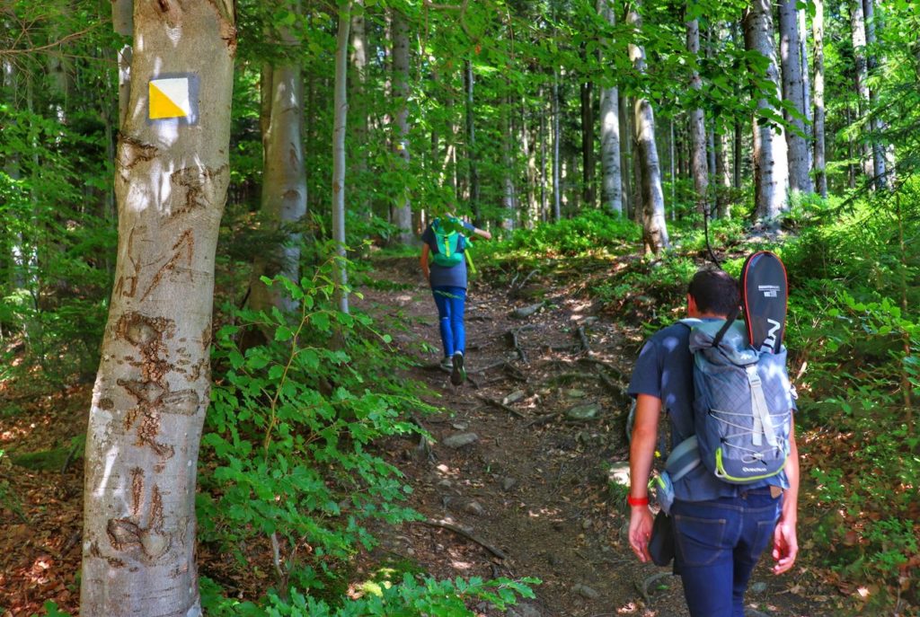 Turysta z dzieckiem na żółtym szlaku spacerowym prowadzącym do Źródeł Olzy, strome podejście przez las