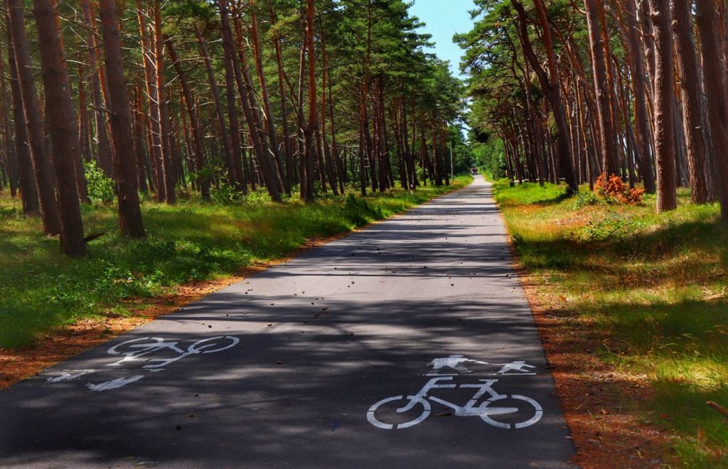 Droga asfaltowa, szeroka biegnąca przez las, szlak rowerowy - Mierzeja Kopań