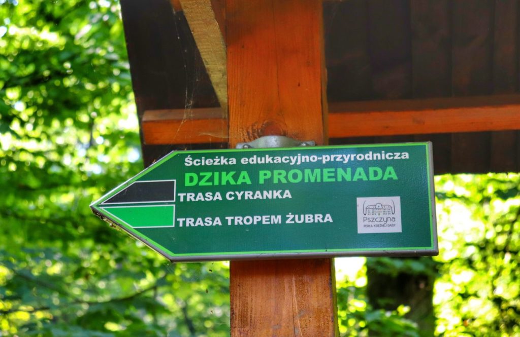Drogowskaz - ścieżka edukacyjno - przyrodnicza DZIKA PROMENADA, szlak czarny - TRASA CYRANKA, szlak zielony - TRASA TROPEM ŻUBRA - PSZCZYNA