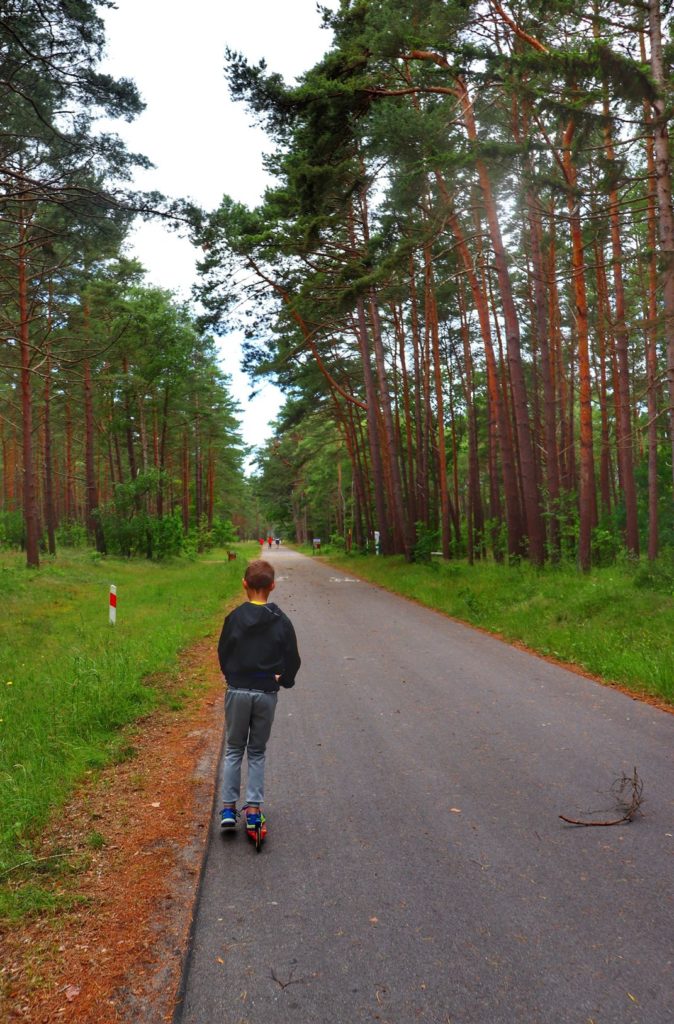 Dziecko na hulajnodze, szeroka droga leśna, szlak pieszy i szlak rowerowy Mierzeja Kopań