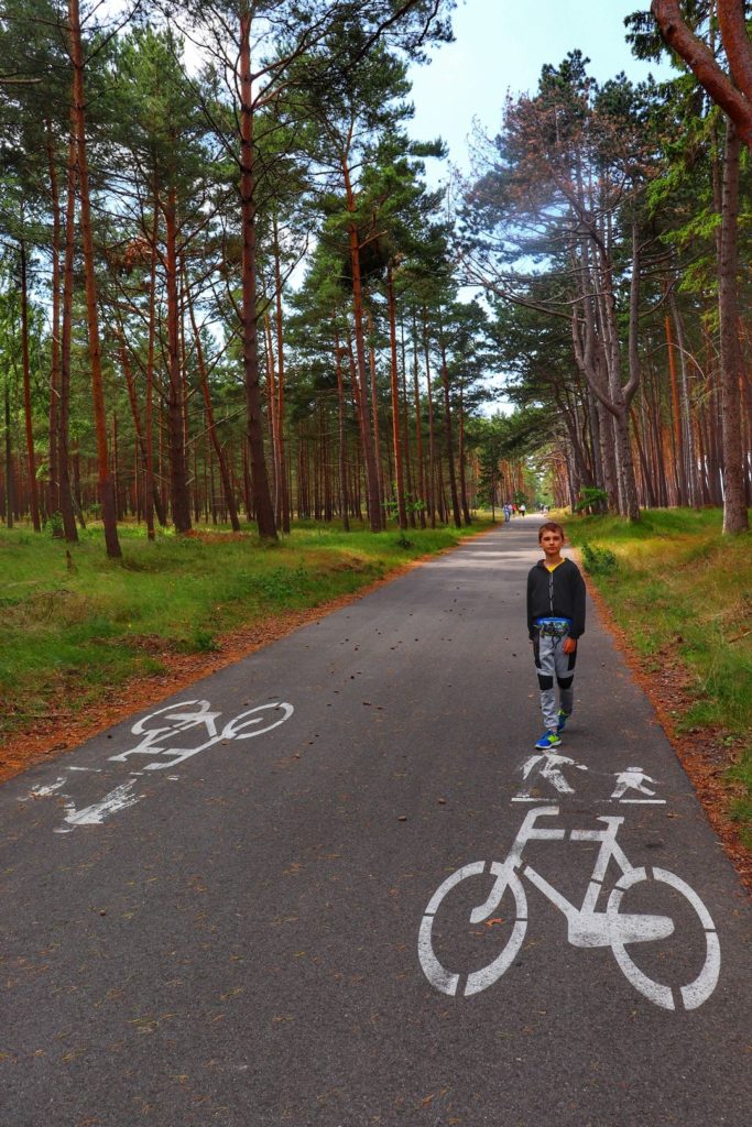 Dziecko na szlaku rowerowym i szlaku pieszym - Wieś Wicie, leśna droga