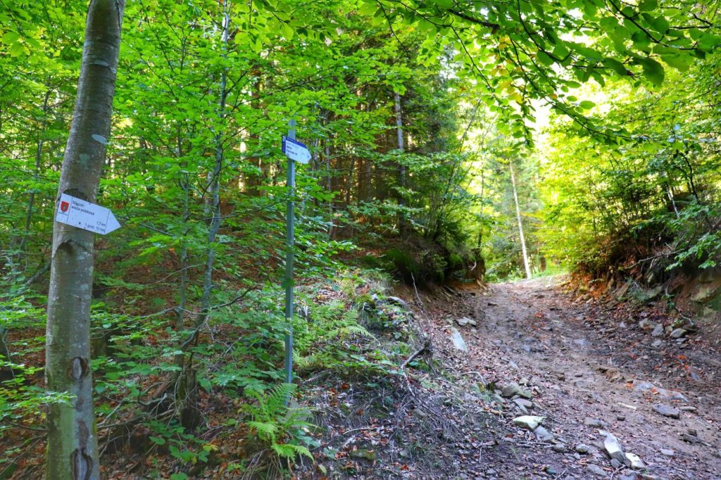 Kamieniste podejście przez las, trasa na Magurki z Ochotnicy Dolnej