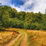 Kurnytowa Polana, Gorce