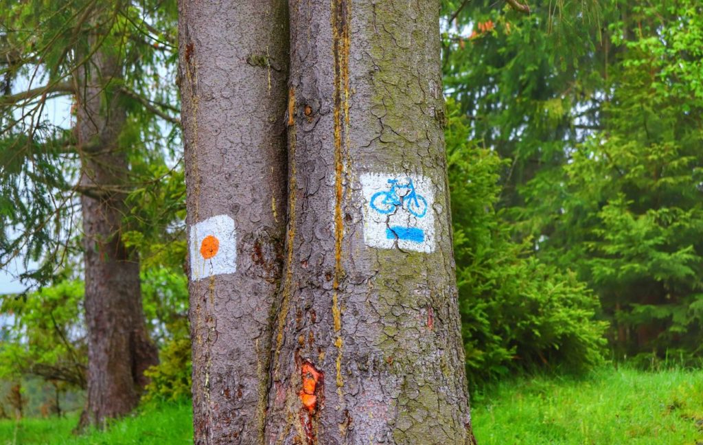 Oznaczenie na drzewie niebieskiego szlaku rowerowego - Jaworki, Małe Pieniny