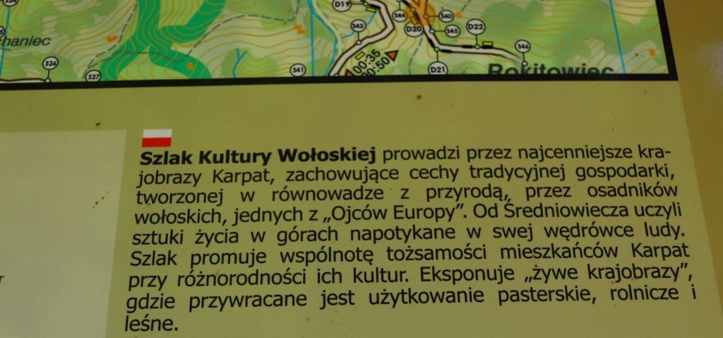 Szlak kultury Wołoskiej powyżej Kurnytowej Polany - tablica informacyjna, Gorce