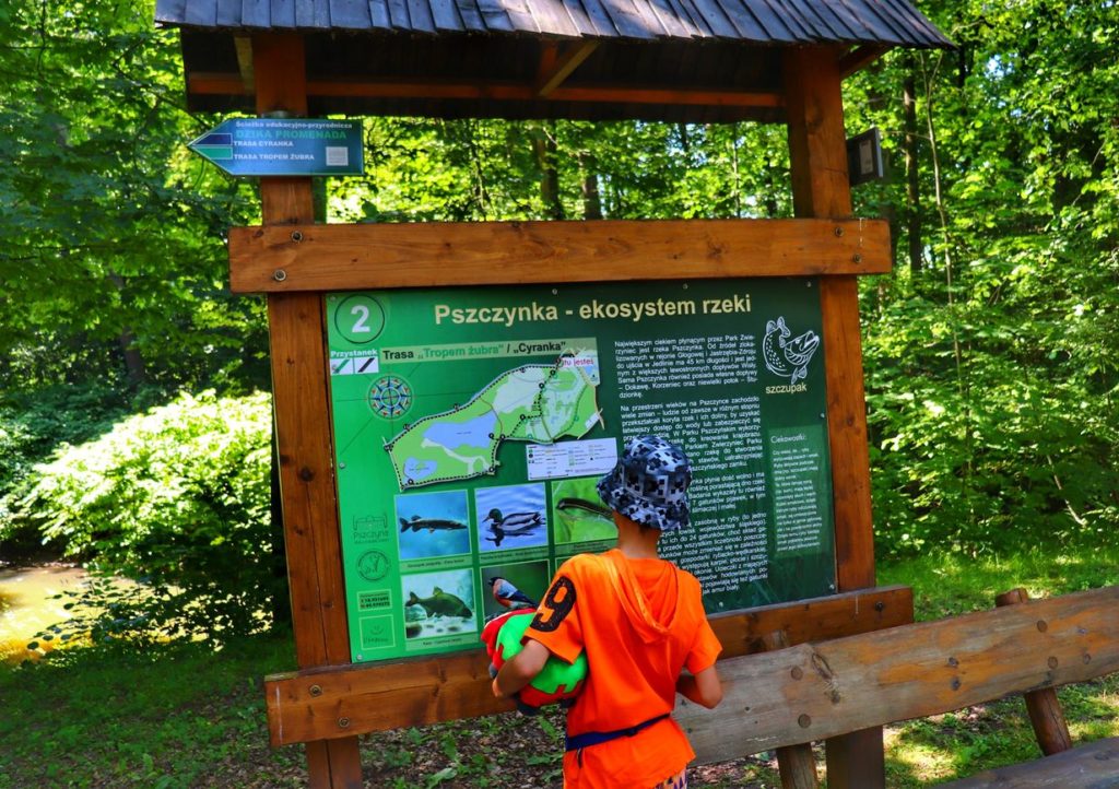 Tablica informacyjna - Pszczyna - ekosystem rzeki, Park w Pszczynie, trasa do zagrody żubrów