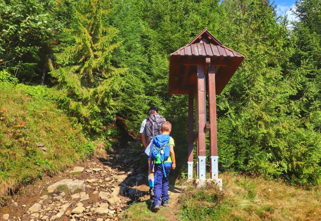 Turysta z dzieckiem, wejście do lasu na trasie na Magurki w Gorcach, tablica informacyjna na trasie SZLAK KULTURY WOŁOSKIEJ powyżej Kurtynowej polany