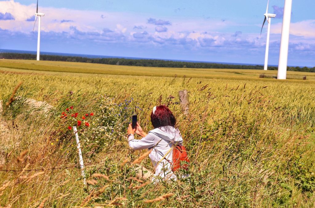 Turystka fotografująca maki, pole, wiatraki w Cisowie