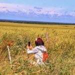 Turystka fotografująca maki, pole, wiatraki w Cisowie