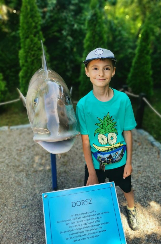 Uśmiechnięte dziecko pozujące przy figurce ryby - dorsza, Szlak dużych ryb w Jezierzanach