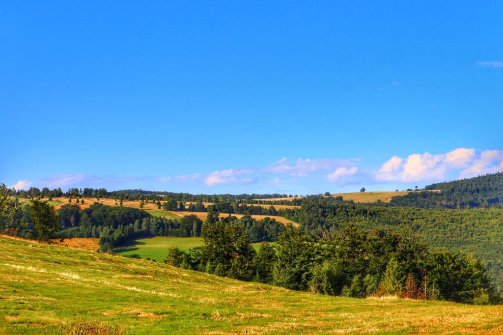 Widok na Halę Jaworową z zielonego szlaku biegnącego z Brennej Leśnicy