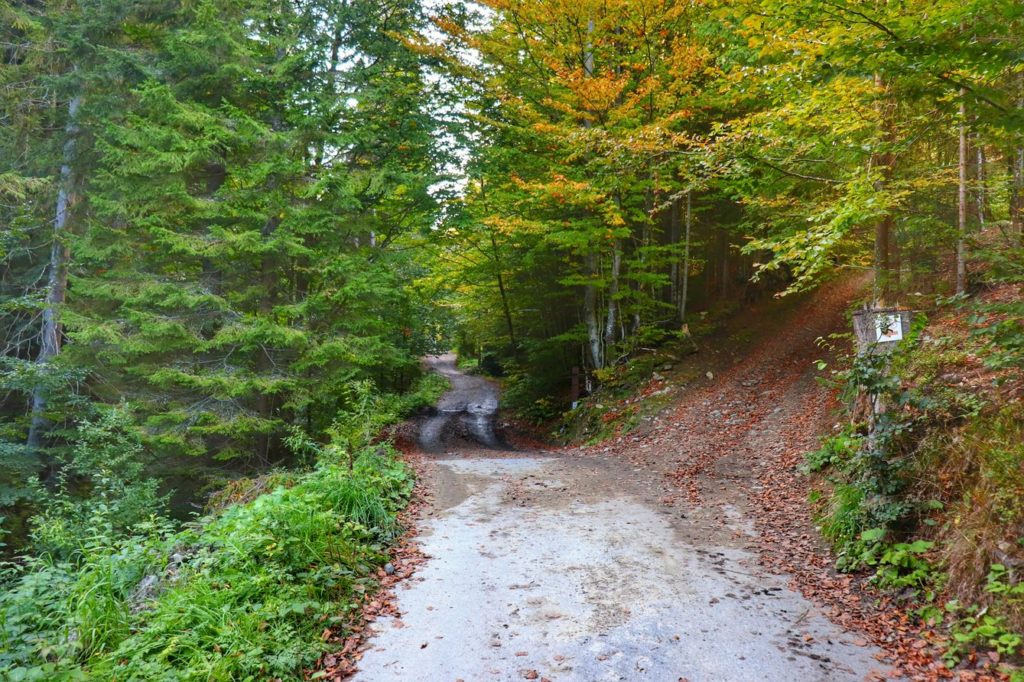 Zejście z asfaltowej drogi w prawo w las - trasa na Magurki - Ochotnica Dolna, czerwony szlak rowerowy