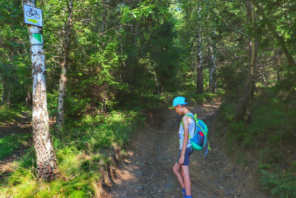 Dziecko, las, szeroka droga, szlak zielony spacerowy i szlak żółty rowerowy - Brzuśnik - Słowianka