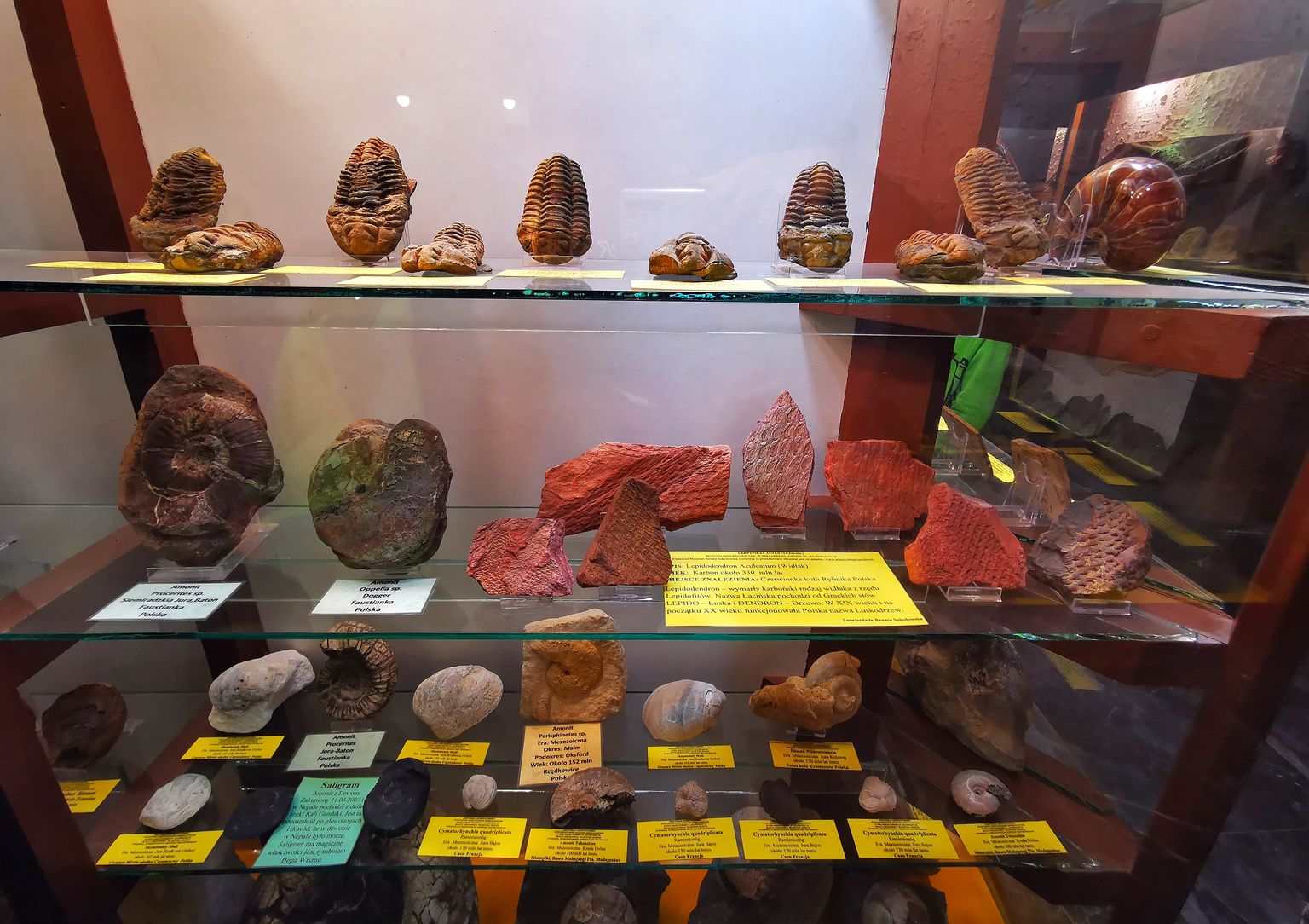 Muzeum Minerałów Szklarska Poręba
