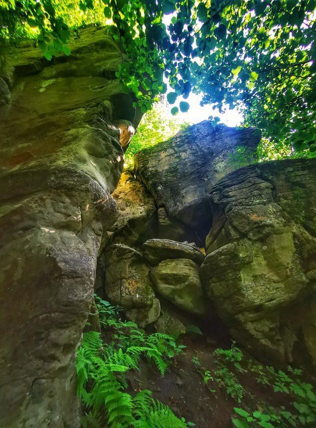 Formacja skalna w Beskidzie Małym - Kozie Skały nieopodal szczytu Żurawnica - wschodni wierzchołek, las