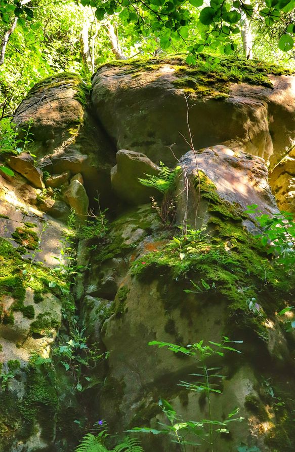 Formacja skalna w Beskidzie Małym - Kozie Skały