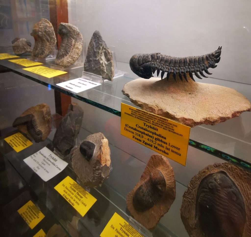 Gablotka z eksponatami, Muzeum Mineralogiczne Szklarska Poręba